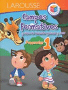 CAMPOS FORMATIVOS 1