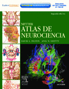 NETTER. ATLAS DE NEUROCIENCIA + STUDENT CONSULT