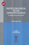 PROTECCIÓN JUDICIAL DE LOS DERECHOS SOCIALES EL DIÁLOGO ENTRE TEORÍA Y PRAXIS