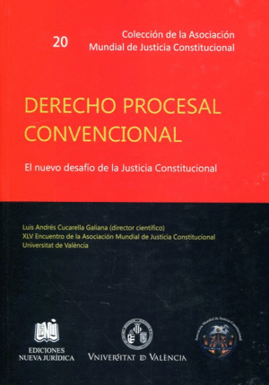 DERECHO PROCESAL CONVENCIONAL
